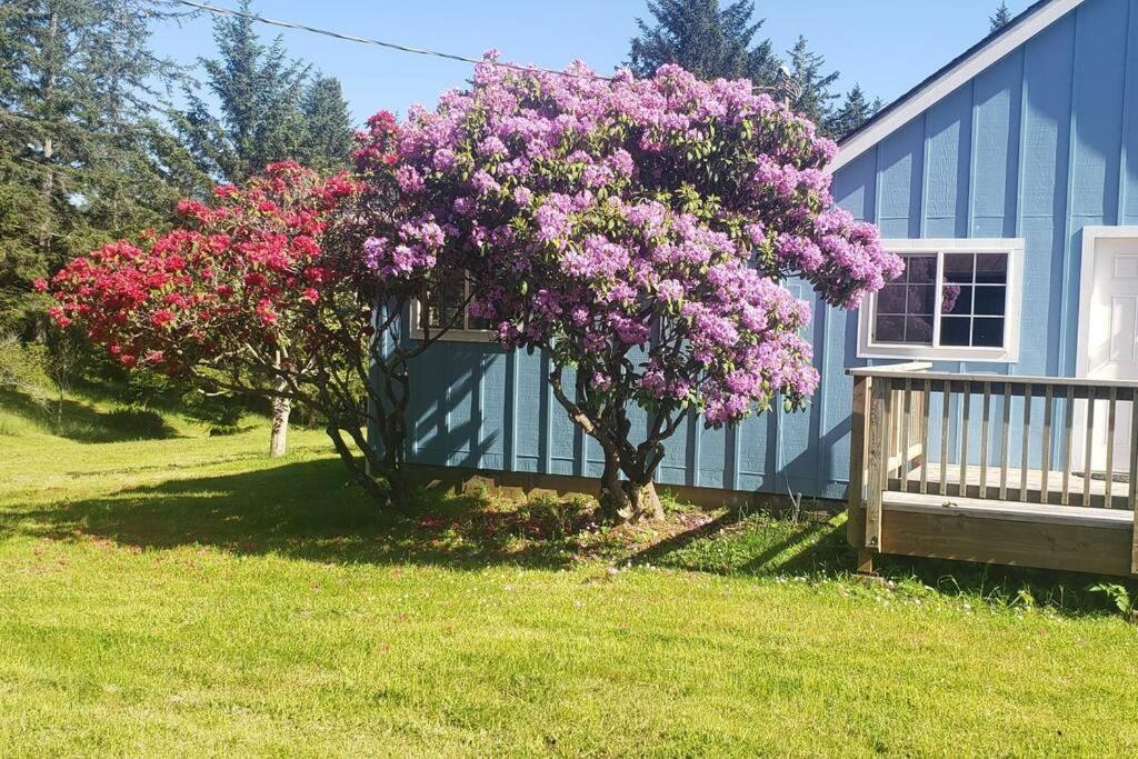 Coastal Charm: Sw Oregon Home On 2+ Quiet Acres Carpenterville Buitenkant foto